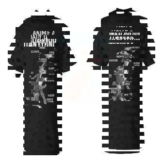 イタリアングレイハウンドの解剖学 Tシャツ - Kawaiitshirt