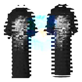 イルカと北のシロクマ、ライトとイルカ Tシャツ - Kawaiitshirt