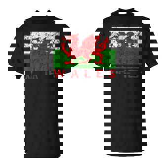 ウェールズ国旗 ウェールズ ドラゴン アンティーク調 メンズ レディース キッズ Tシャツ - Kawaiitshirt