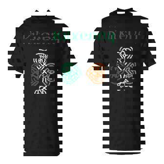 キルケニー州 シャムロック アイルランド国旗 クレイックと天井 Tシャツ - Kawaiitshirt