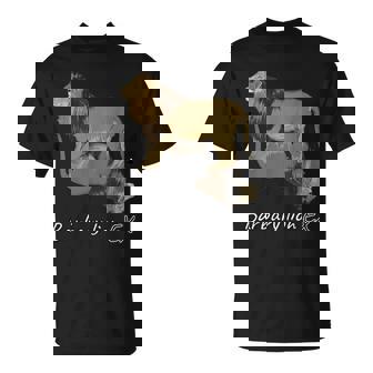 バーバリライオン Tシャツ - Kawaiitshirt