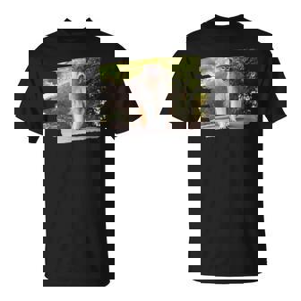 パタス・モンキー Tシャツ - Kawaiitshirt