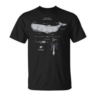 マッコウクジラの解剖学 海洋生物学者 Tシャツ - Kawaiitshirt