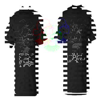 悪名高いrbg ルース・ベイダー・ギンズバーグ Rgb Tシャツ - Kawaiitshirt