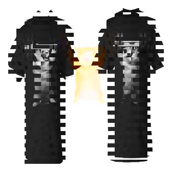 面白いtシャツ コーギー 犬 イヌ わんこ メンズ 犬好き グッズ かわいい 面白い 服 ネタ 筋トレ Tシャツ - Kawaiitshirt