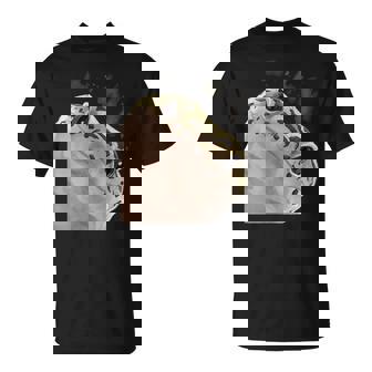 面白い好奇心が強い爬虫類ヒョウモントカゲモドキ Tシャツ - Kawaiitshirt