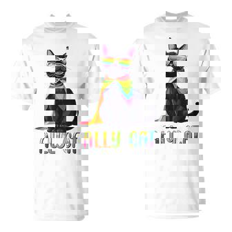 Ally Cat Lgbtゲイプライド月間2025レインボー平等権 Tシャツ - Kawaiitshirt