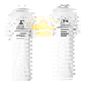 Ea Nasir Copper、エジプト ミーム、面白いエジプトの苦情 長袖tシャツ Tシャツ - Kawaiitshirt