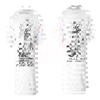Feral And Free Raccoon Raccoon 4Th Of July Usa Flag T-Shirt | Mazezy