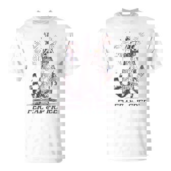 Feral Racoon 4Th Of July Patriotic Raccoon Fireworks T-Shirt - Monsterry