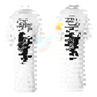 No King Lives Here No Kings In America Since 1776 T-Shirt | Mazezy