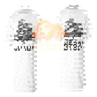 Not Todayloth 今日はナマケモノ Tシャツ - Kawaiitshirt