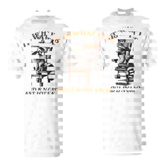 アライグマのミーム It's What It's And It Is Not Greatarcastic Tシャツ - Kawaiitshirt