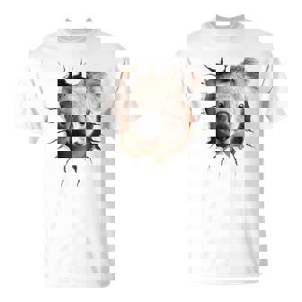 コアラ アニマル柄 動物園 ポートレート イラスト かわいい コアラ Tシャツ - Kawaiitshirt