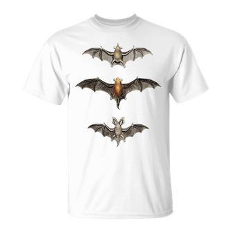 コウモリ 科学イラスト 描画 生物学 アート ハロウィン Tシャツ - Kawaiitshirt