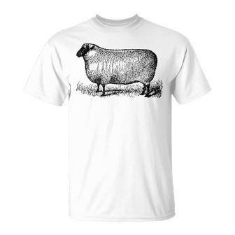 ビンテージ羊の描画 Tシャツ - Kawaiitshirt