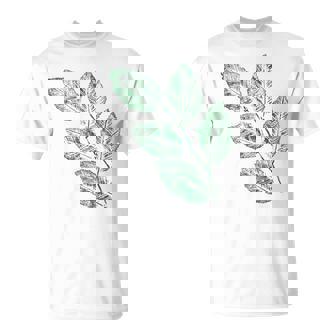 ブナの葉 植物 自然と森林 木のグラフィックス Tシャツ - Kawaiitshirt