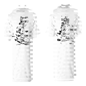 太極拳 猫 格闘技 面白い 猫 格闘 Tシャツ - Kawaiitshirt