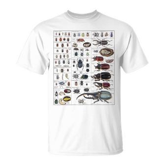 昆虫コレクション 種 虫 ビンテージ チャート 昆虫学 Tシャツ - Kawaiitshirt