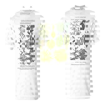葉 フィロデンドロン サトイモ 植物 恋人 ギフト アンスリウム Tシャツ - Kawaiitshirt