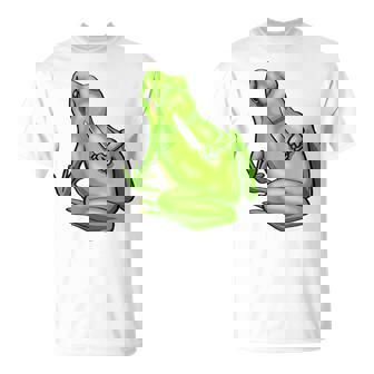 面白い邪悪なカエル サカラスティック 怒っているカエル かわいい 不機嫌な狂気 Tシャツ - Kawaiitshirt