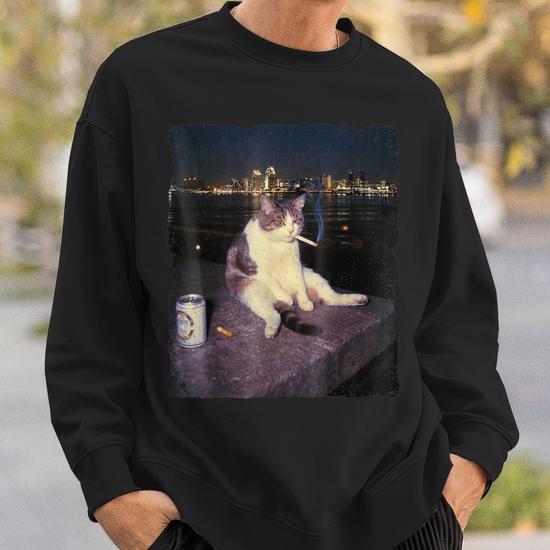 Cigarette Kitten Smoking Cat Meme Stupid Brainrot Sweatshirt