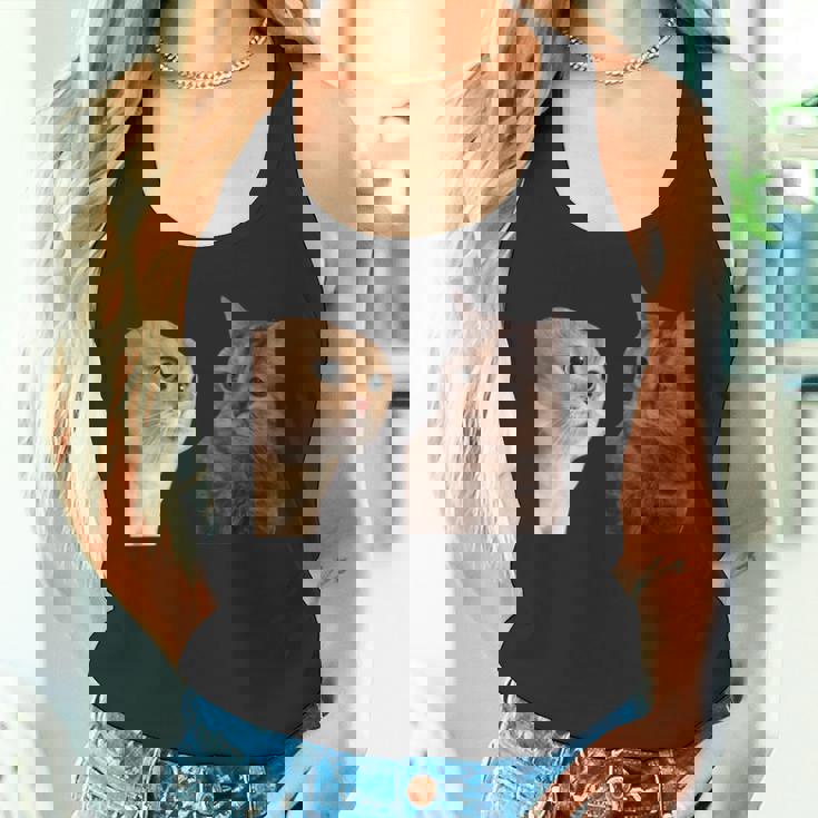 2匹の猫がミームを話す 長袖tシャツ タンクトップ