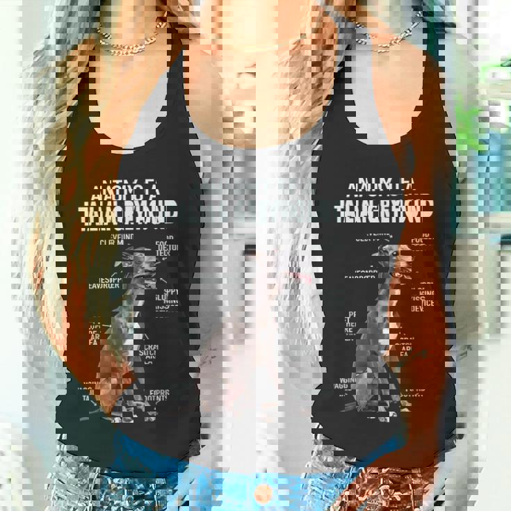 イタリアングレイハウンドの解剖学 タンクトップ