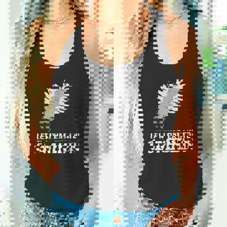 カンブリア紀の面白いアノマロカリス・パレオに心を残した タンクトップ