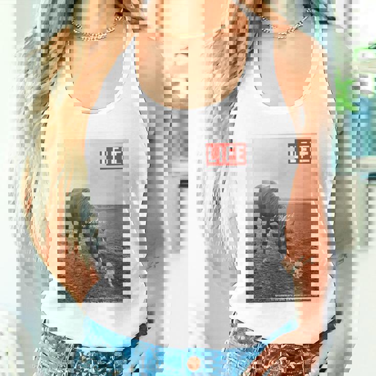 Life Picture Collection 馬と猫（1） タンクトップ