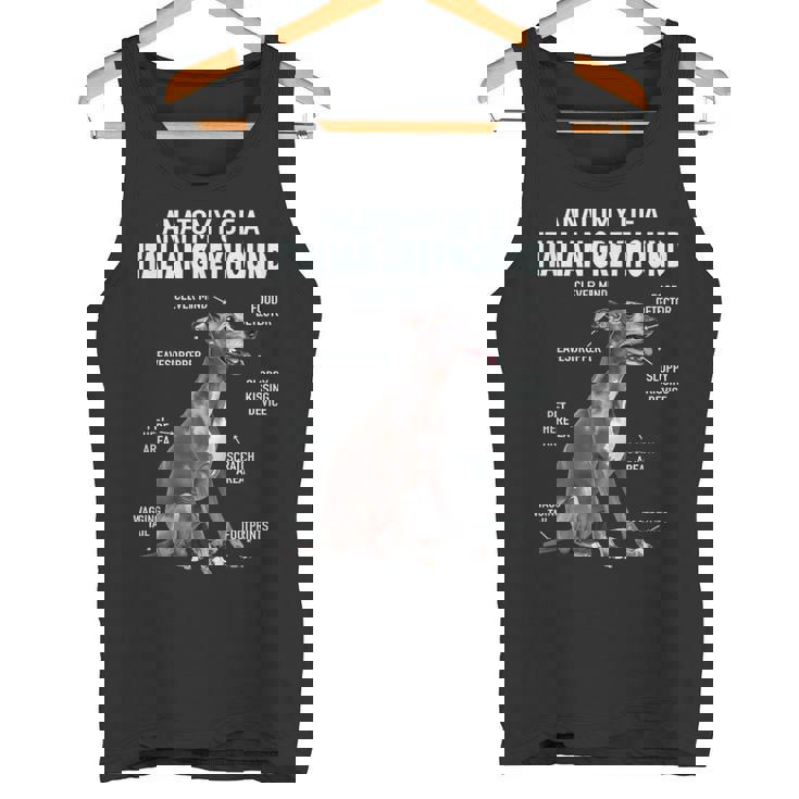 イタリアングレイハウンドの解剖学 タンクトップ