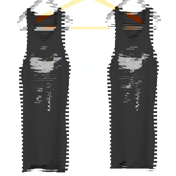 マッコウクジラの解剖学 海洋生物学者 タンクトップ