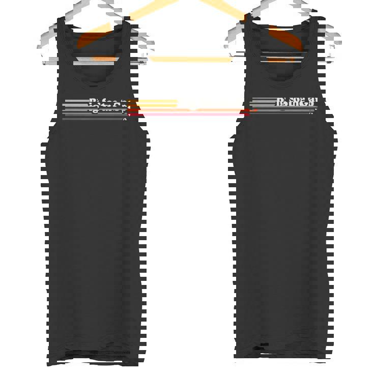 ヴィンテージ1980年代グラフィックスタイルビッグストーンギャップバージニア。 タンクトップ