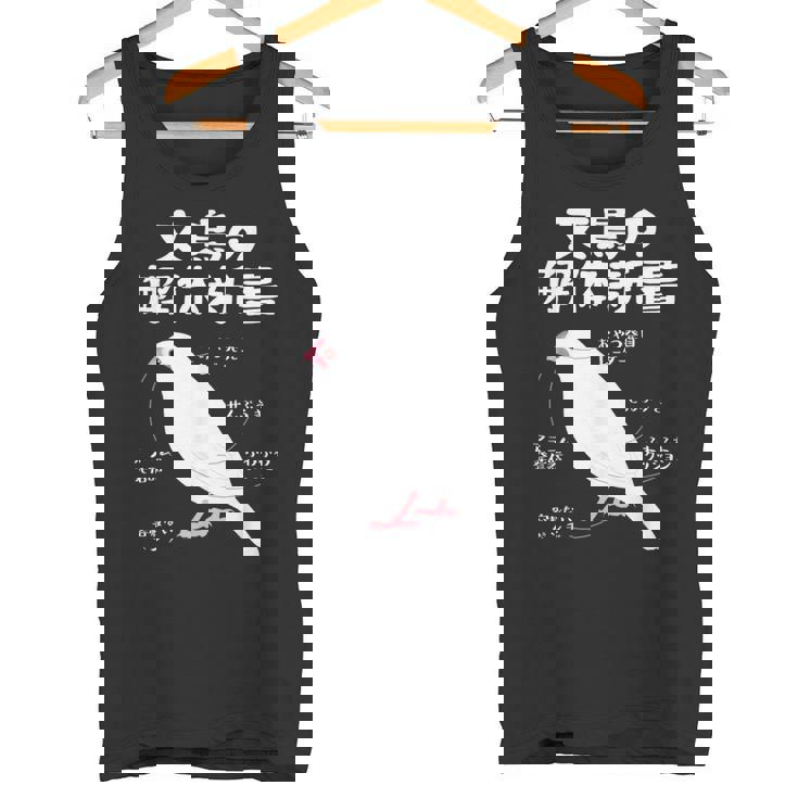 文鳥の解体新書 文鳥好き 文鳥の飼い主 文鳥 桜文鳥 文鳥の一覧 白文鳥 頬黒文鳥 シナモン文鳥 文鳥の種類 文鳥 タンクトップ