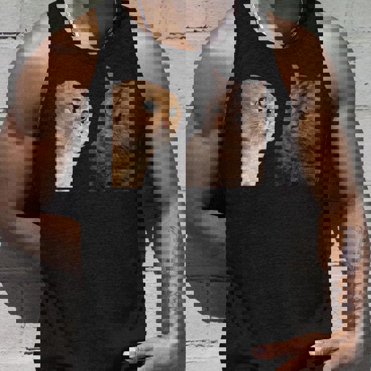 2匹の猫がミームを話す 長袖tシャツ タンクトップ 彼への贈り物