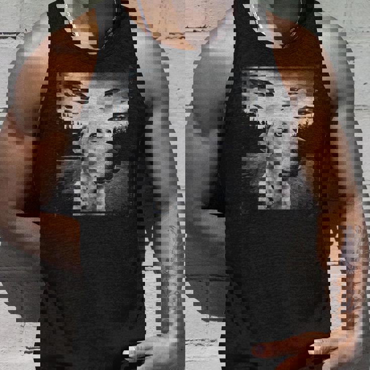 Ufo 遭遇 黄色 実験犬 自撮り 写真 エイリアンの侵略 タンクトップ 彼への贈り物