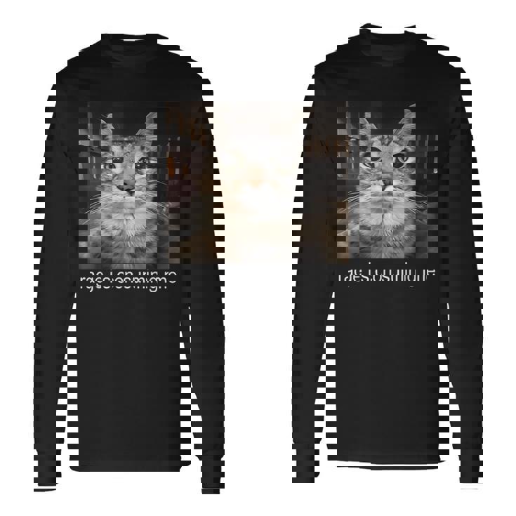 Rage Is Consuming Me 愚かな凝視猫ミーム 長袖Tシャツ