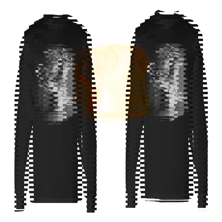 TitaniCムービーにインスパイアされた面白い猫好きのミーム。 長袖Tシャツ