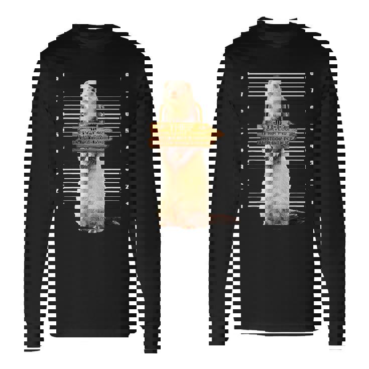 かわいいフェレット泥棒 面白い動物 長袖Tシャツ