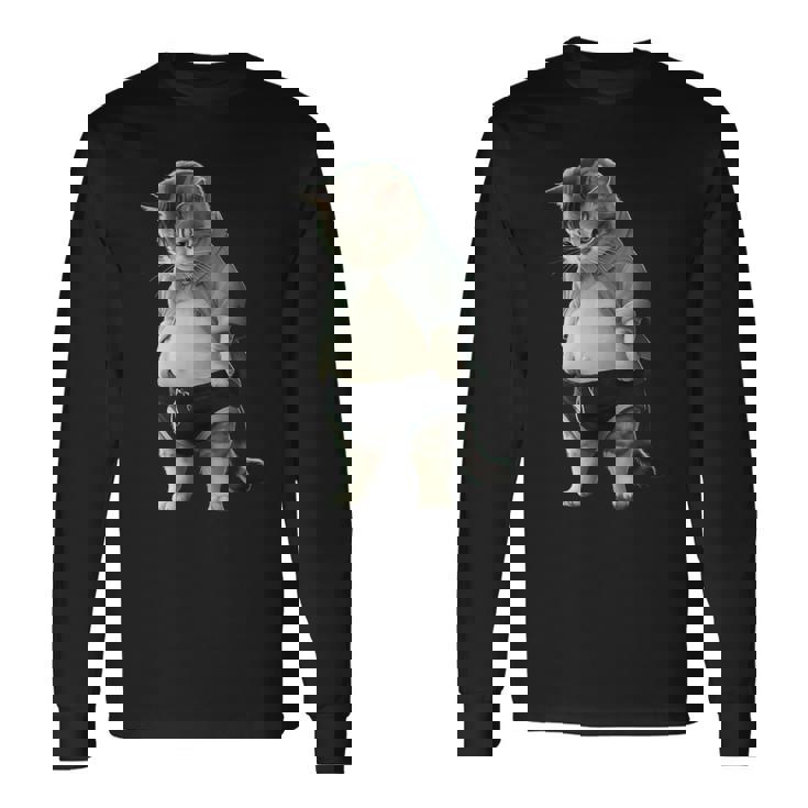 ぽっちゃり猫 お腹が大きい猫 ユーモア Fat Cat 長袖Tシャツ