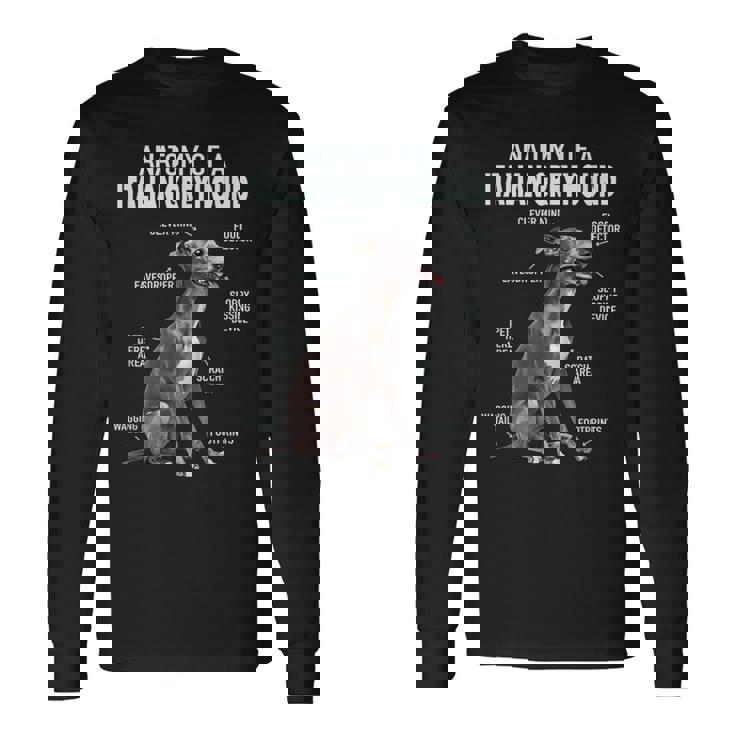 イタリアングレイハウンドの解剖学 長袖Tシャツ