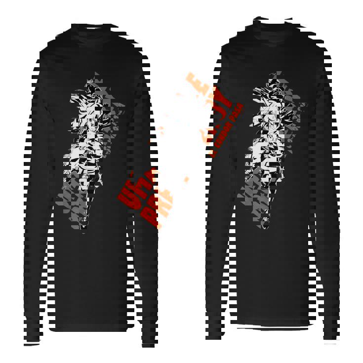 ウマ娘 プリティーダービー エルコンドルパサー 長袖Tシャツ