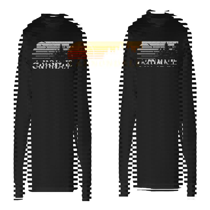 キャノンデール、Ct ヴィンテージ エバーグリーン サンセット 80年代 レトロ 長袖Tシャツ