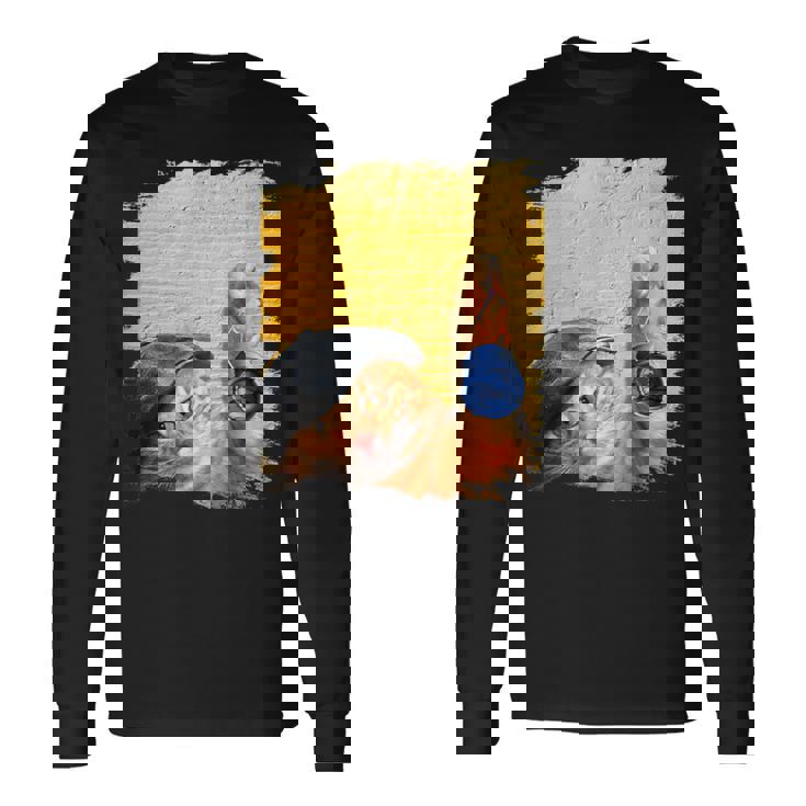 クラシックブルーヨーヨーの猫 長袖Tシャツ