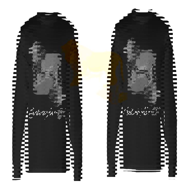 バーバリライオン 長袖Tシャツ