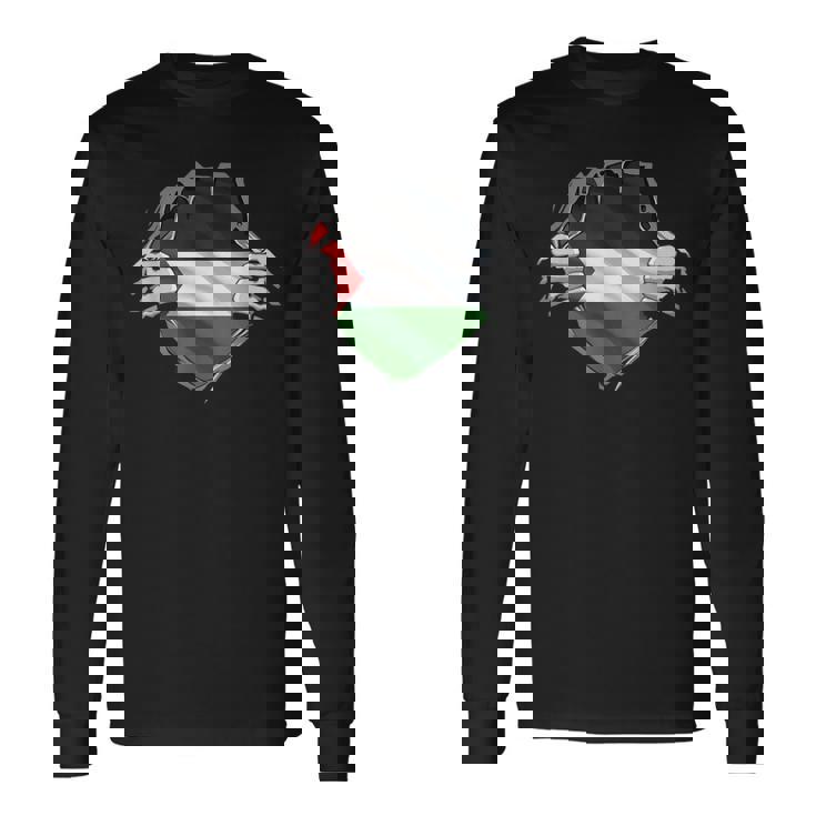 パレスチナシャツ パレスチナ国旗 アラビアのルーツ 遺産 Dna 長袖Tシャツ