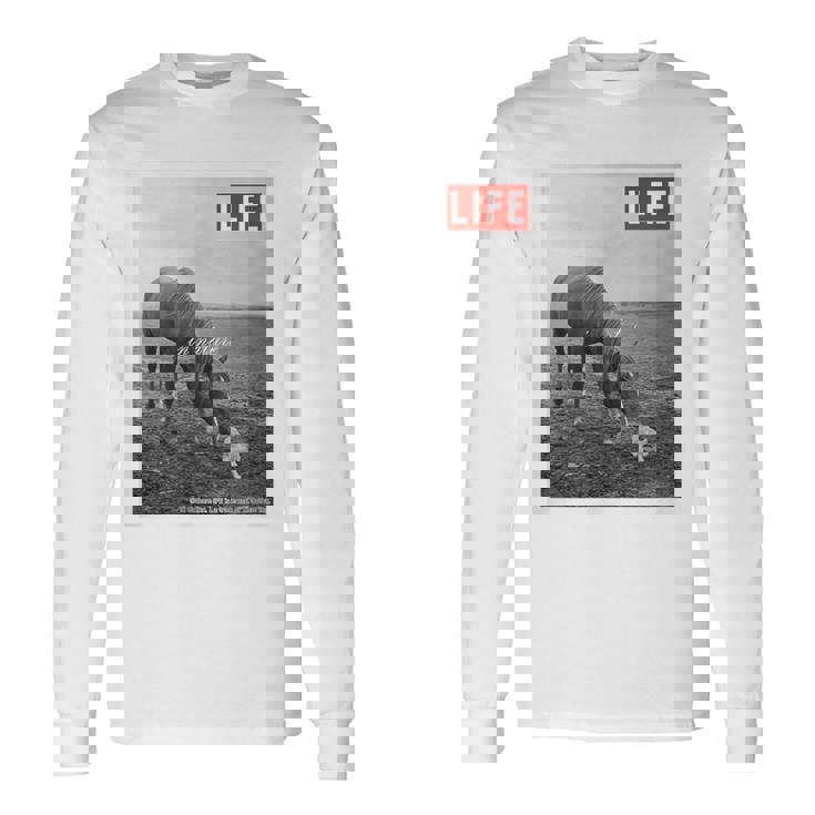 Life Picture Collection 馬と猫（1） 長袖Tシャツ ギフトのアイデア