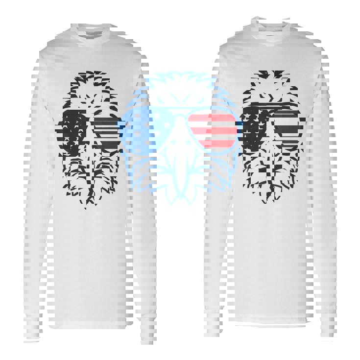 アメリカン・イーグル アメリカ国旗 7月4日 愛国 長袖Tシャツ