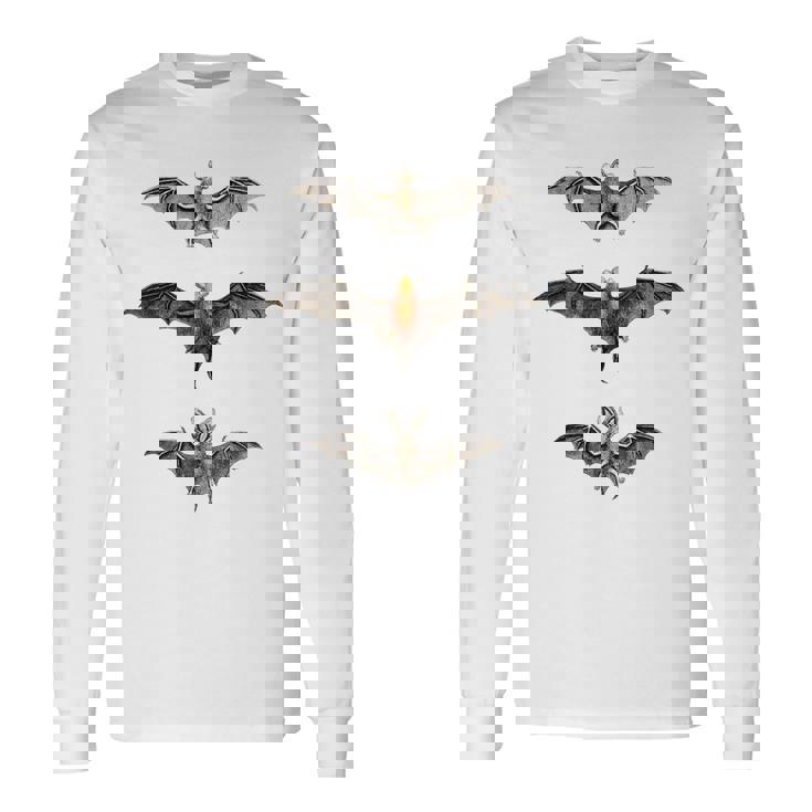 コウモリ 科学イラスト 描画 生物学 アート ハロウィン 長袖Tシャツ