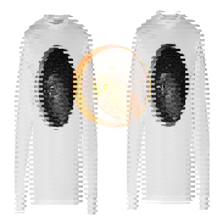 ヒエロニムス・ボス フクロウの大地の庭 長袖Tシャツ